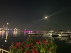 -金鸡湖景区