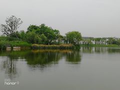 -上海长兴岛郊野公园