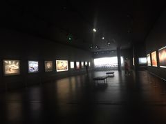 -罗红摄影艺术馆