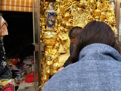 -中环花鸟鱼虫市场