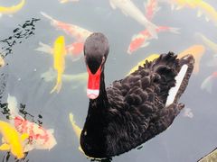 -湖鲜楼