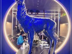 -额尔敦传统涮(公园西路店)