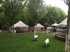 -九十九顶毡房(阜石路店)