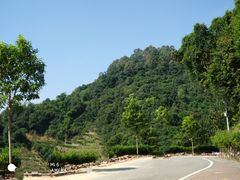 -火炉山森林公园