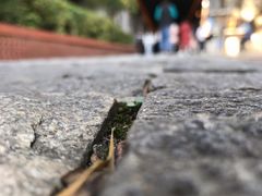 -铁路文化公园