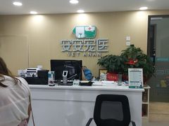 -安安宠物医院(情缘分院)