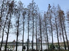 -顺峰山公园