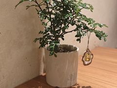 -CURRY YA 熟成咖哩專門店(深圳湾万象城店)
