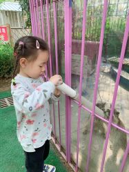 -萌宠亲子动物乐园(槐房万达店)