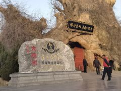 -大槐树寻根祭祖园