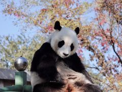 -天津市动物园