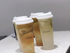 -森茶(湛江万达店)