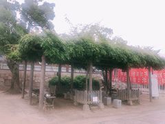 -有栖山 清光院 清水寺