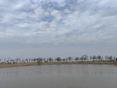 -鄱阳湖国家湿地公园