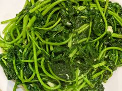 -优之名鹅城