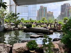 -双季花艺园艺市场(浦东店)