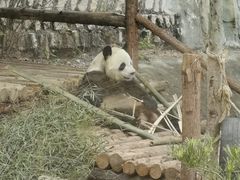 -泉州海丝野生动物世界