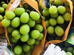 -双福水果批发市场