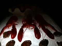 -上海柏悦酒店·世纪100牛排馆