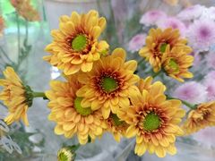 -米莱欧百货(吉利店)