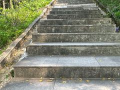 -火炉山森林公园