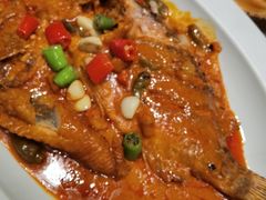 -佳兰雅序融合菜(高新店)