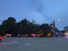 -枫花园汽车电影院(朝阳公园店)