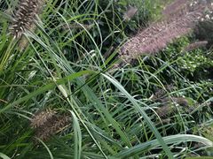 -长春公园(普阳街道)