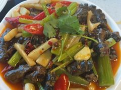 -凤栖府川菜(沙河店)