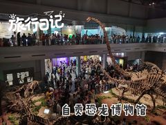 -自贡恐龙博物馆