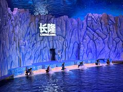-珠海长隆海洋王国