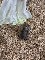 -未来动物城主题公园(正弘城店)