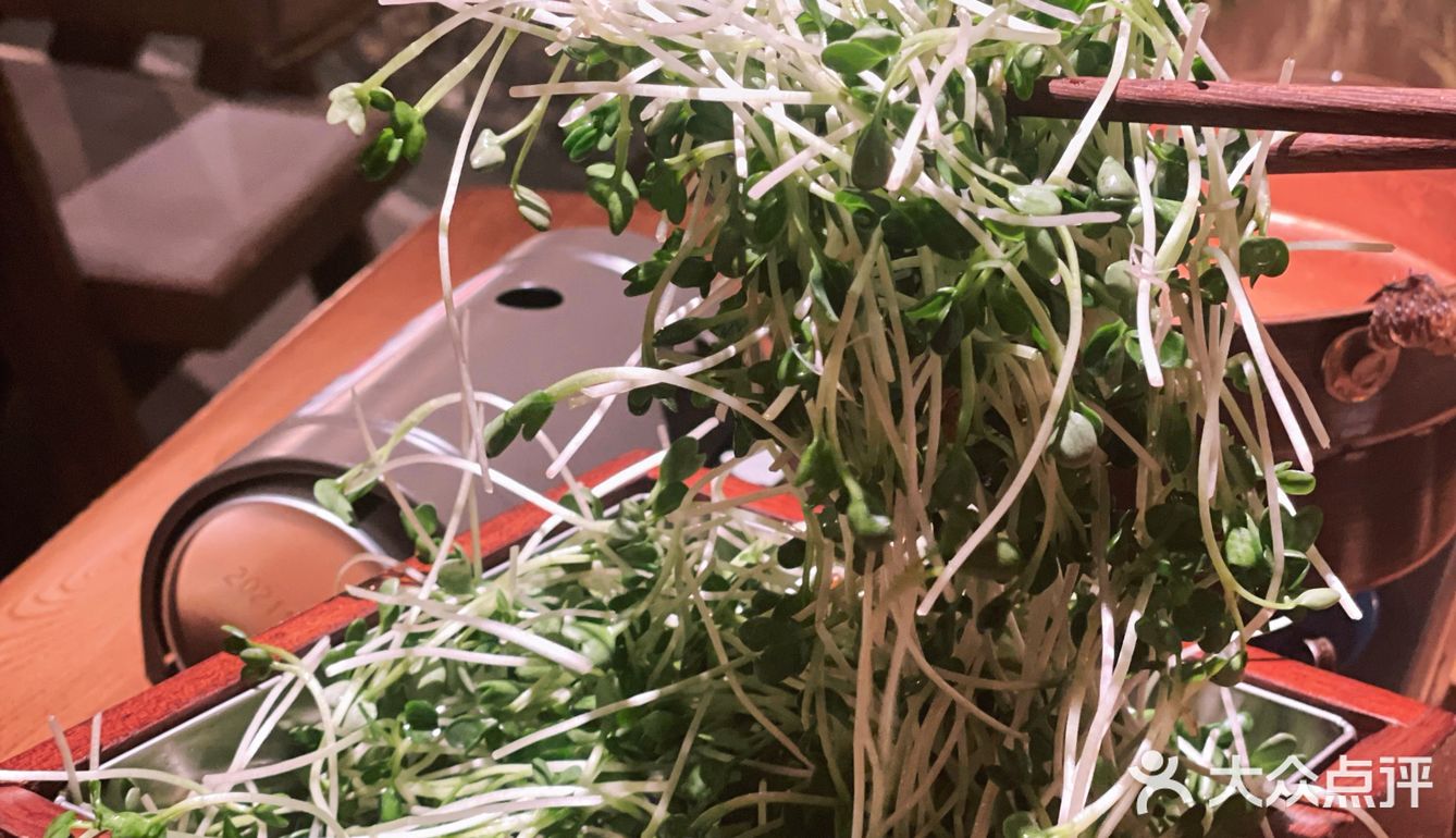 一场稻田里的盛宴—湘颂