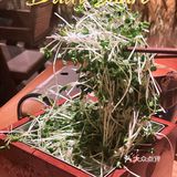 一场稻田里的盛宴—湘颂