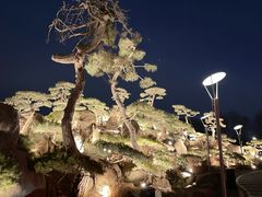 -罗红摄影艺术馆