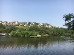-重庆彩云湖湿地公园
