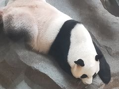 -宁波野生动物园