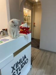 -熙画美上门MakeUp美甲美睫