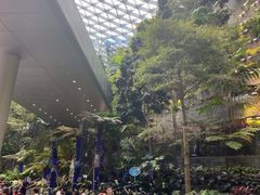 -樟宜机场免税店
