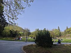 -贵州省植物园