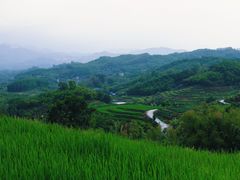 -牙胡梯田