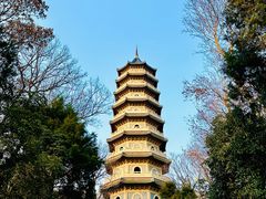 -灵谷景区