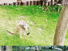 -泉州海丝野生动物世界