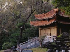 -深圳国际园林花卉博览园