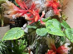 -上海虹桥迎宾馆