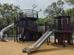 -渤公岛生态公园