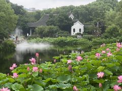 -南园(太仓市)