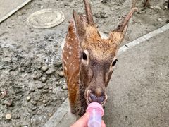 -成都欢乐谷