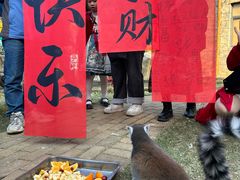 -灵玲国际马戏城