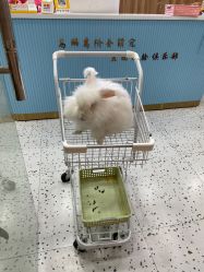 -Moni星球萌宠·小马宝莉·灵蛇·高端高阶全萌宠互动体验俱乐部(红豆国际广场店)